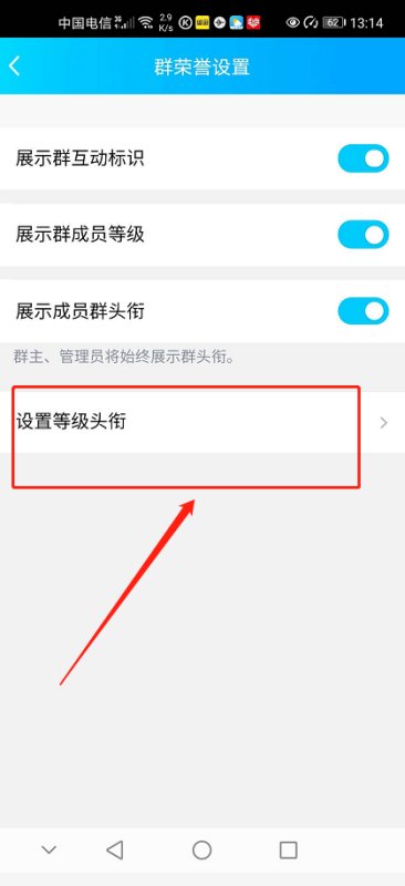 手机qq群里怎么才能显示群成员等级？