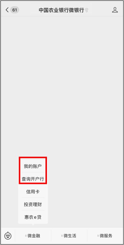 中国农业银行的支行是什么?