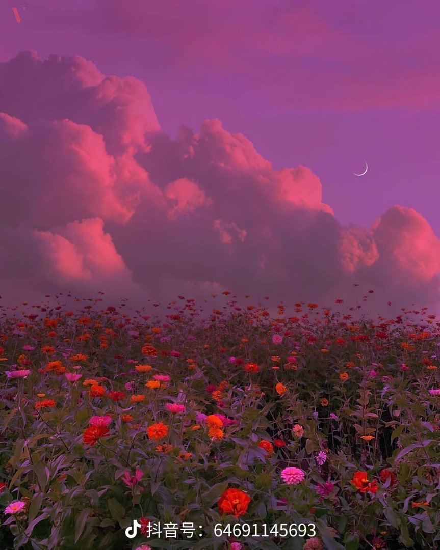 《最熟悉的陌生人》的歌词