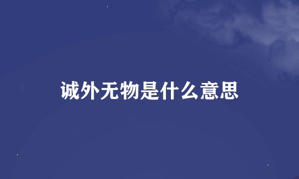 诚外无物是什么意思