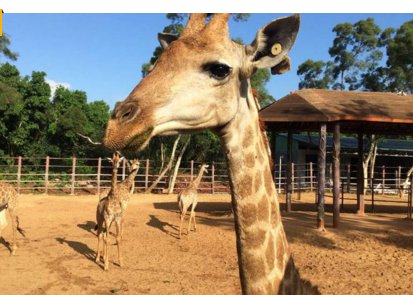 海口有几个动物园?分别叫什么名字?