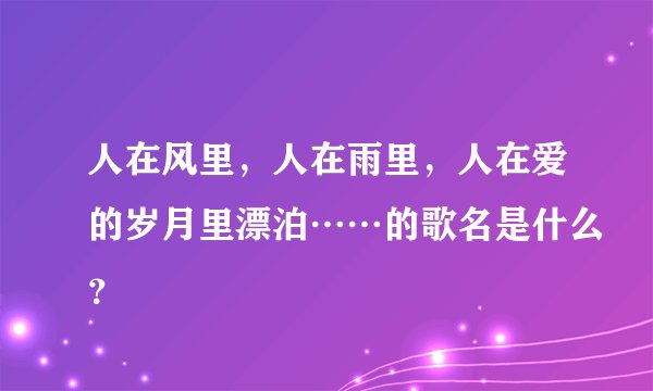 人在风里，人在雨里，人在爱的岁月里漂泊……的歌名是什么？