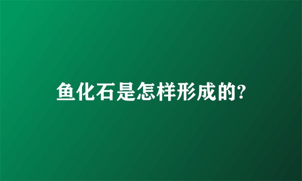 鱼化石是怎样形成的?