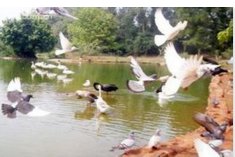 海口有几个动物园?分别叫什么名字?