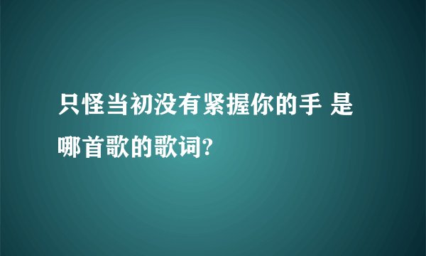 只怪当初没有紧握你的手 是哪首歌的歌词?