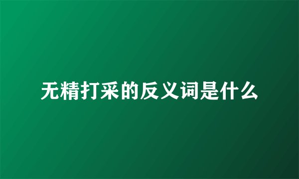 无精打采的反义词是什么