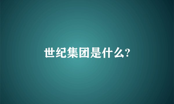 世纪集团是什么?