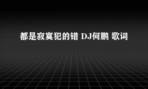 都是寂寞犯的错 DJ何鹏 歌词
