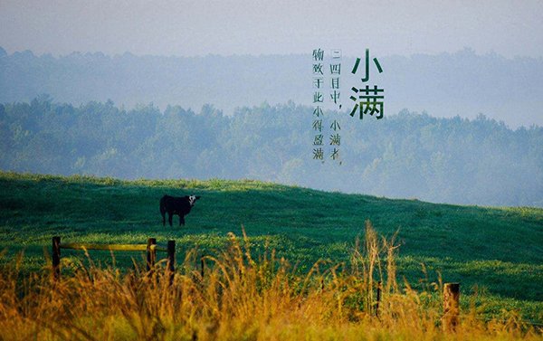 物致于此小得盈满甚么意思