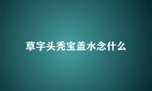 草字头秃宝盖水念什么
