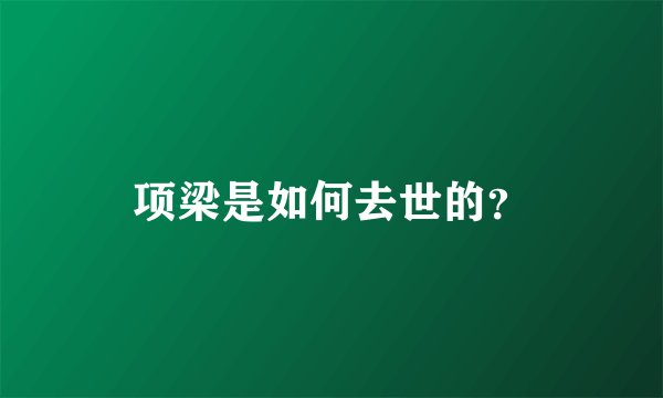 项梁是如何去世的？