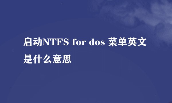 启动NTFS for dos 菜单英文是什么意思