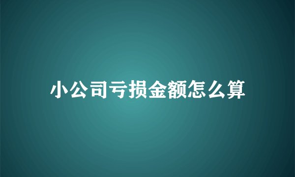 小公司亏损金额怎么算