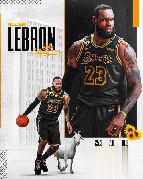 詹姆斯恶意犯规被驱逐出场，对他今后的职业生涯有何影响？