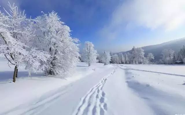 呼伦贝尔4月大雪纷飞，这种气候在当地是否很常见？