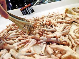 僵尸肉是什么肉?