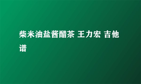 柴米油盐酱醋茶 王力宏 吉他谱