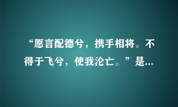 “愿言配德兮，携手相将。不得于飞兮，使我沦亡。”是什么意思？