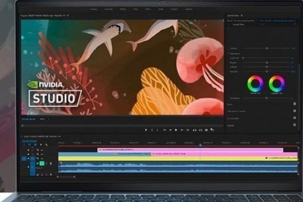 戴尔笔记本电脑哪款性价比最高
