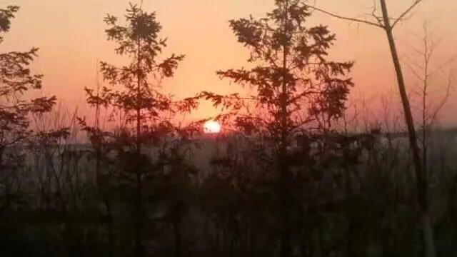 朋友去世了,你认为微信要删除吗?