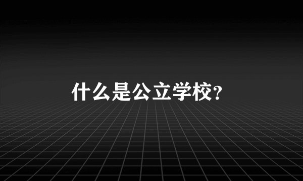 什么是公立学校？