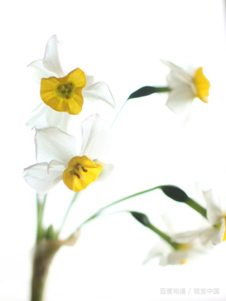 男朋友的前女友纠缠不清怎么办