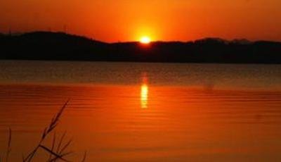 露似珍珠月似弓描写的什么季节