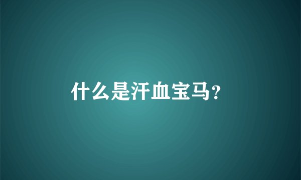 什么是汗血宝马？