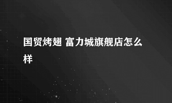 国贸烤翅 富力城旗舰店怎么样