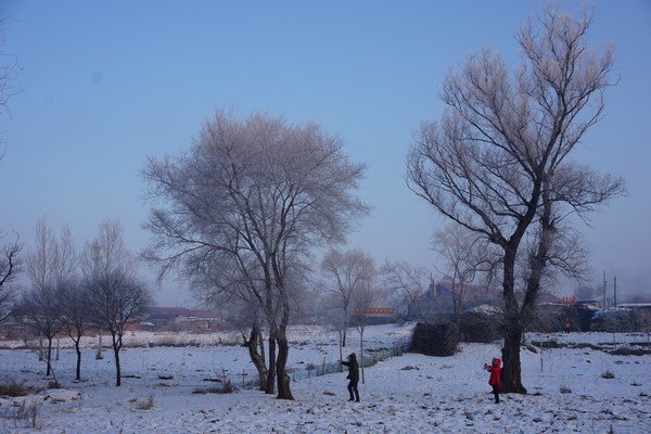 2019年的数九从什么时候开始一九、二九、三九和四九个是几月几日