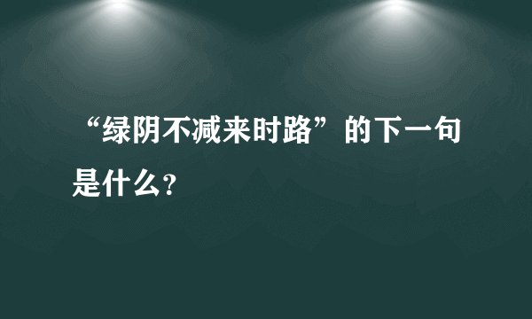 “绿阴不减来时路”的下一句是什么？