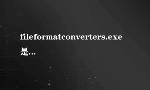 fileformatconverters.exe是什么意思