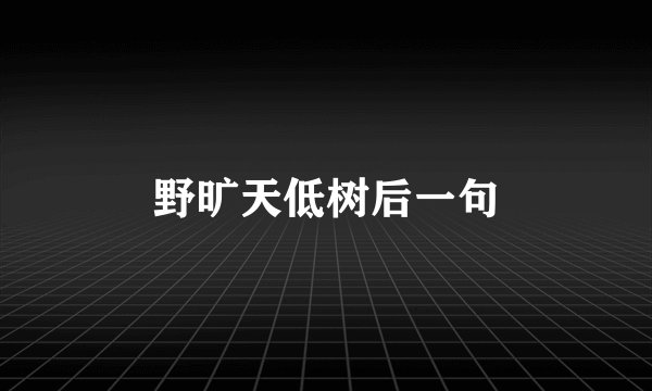 野旷天低树后一句