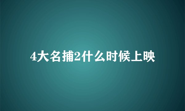 4大名捕2什么时候上映