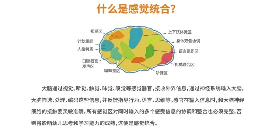 什么是感统？它包括什么？