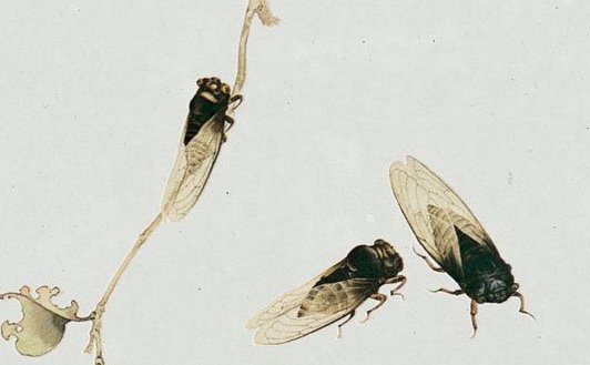 《蝉》的全文意思？