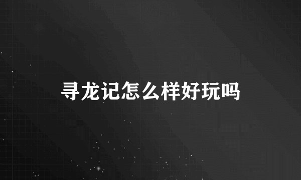 寻龙记怎么样好玩吗