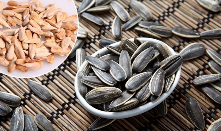葵花籽是向日葵的什么