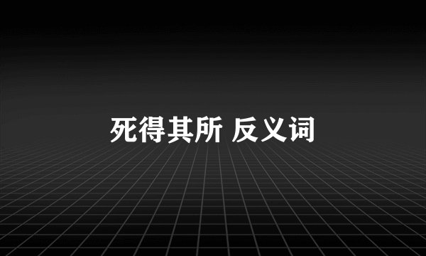 死得其所 反义词