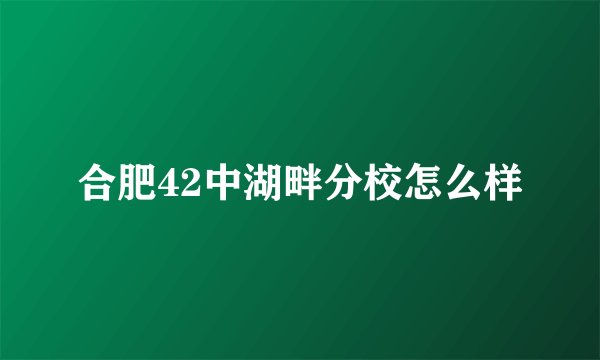 合肥42中湖畔分校怎么样