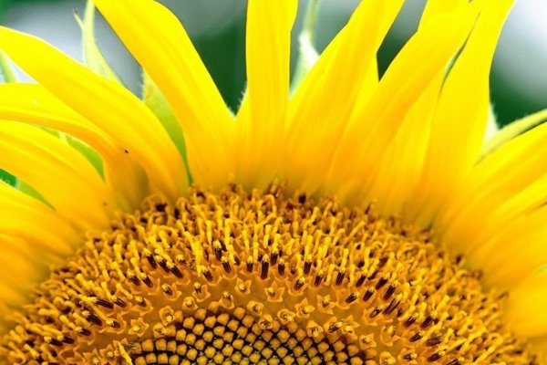 在你的心中我是什么颜色？蓝色！红色！黄色！绿色！粉色！紫色！－  每种颜色代表什么意思