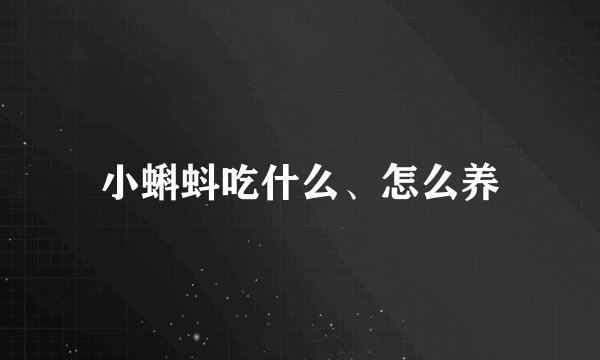 小蝌蚪吃什么、怎么养
