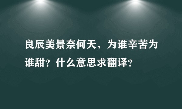 良辰美景奈何天，为谁辛苦为谁甜？什么意思求翻译？