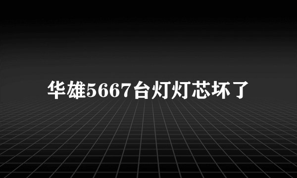 华雄5667台灯灯芯坏了