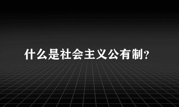 什么是社会主义公有制？