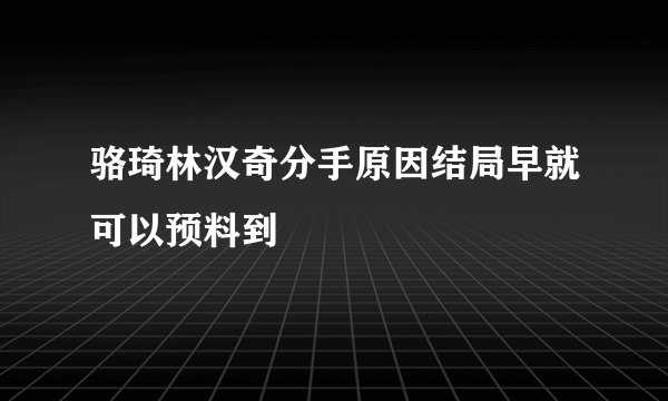 骆琦林汉奇分手原因结局早就可以预料到