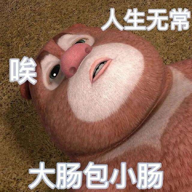 “人生无常，大肠包小肠”究竟是个什么样的梗？