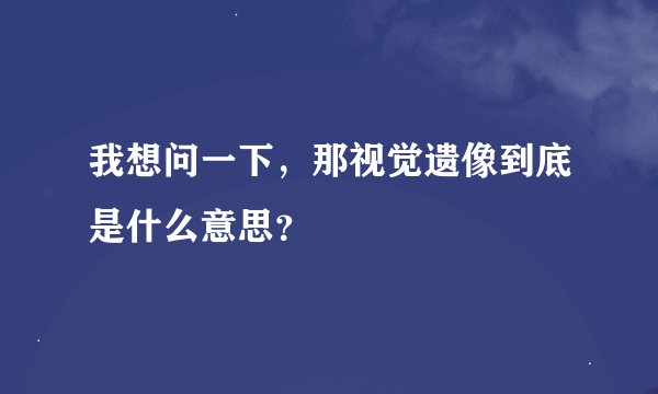 我想问一下，那视觉遗像到底是什么意思？