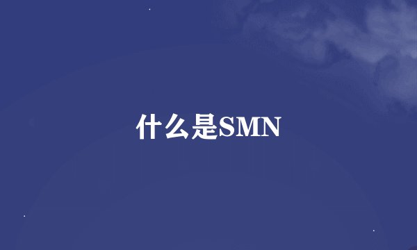 什么是SMN