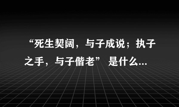 “死生契阔，与子成说；执子之手，与子偕老” 是什么意思？出处？